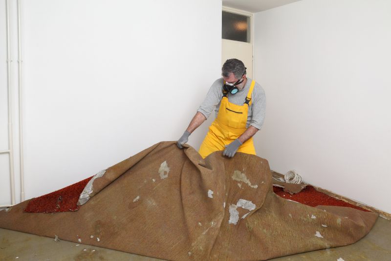 Carpet Removal